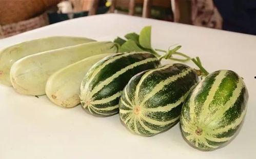 陇南市网红吃瓜,揭秘当地美食文化新风尚