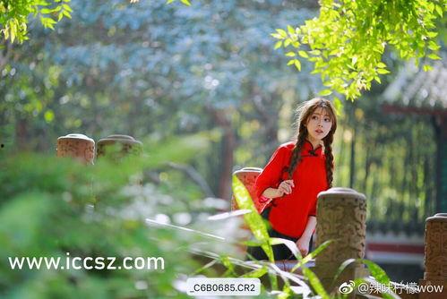 黑料吃瓜网热点大瓜,真相与八卦的碰撞