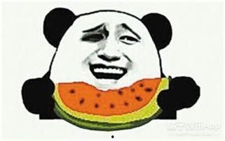 杨爸爸遛鸟吃瓜群众网,揭秘网红背后的真实生活