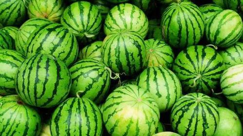 最近爆火吃瓜文学网是真的吗,吃瓜文学网火爆背后的真相