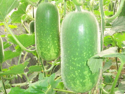 一起草abb官网吃瓜,真相与幕后