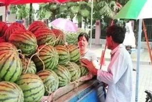 唐山花店女老板瓜吃瓜网,揭秘花店背后的温馨故事